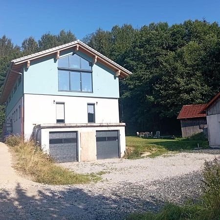 Fewo Wiesenblick Waldmünchen Exteriér fotografie